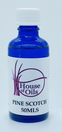 Pine Scotch Essential Oil Pine Scotch Essential Oil